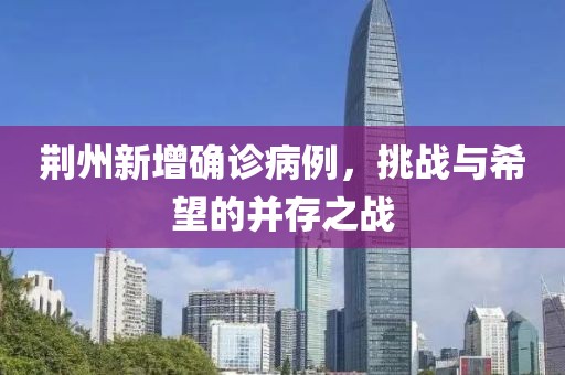 荆州新增确诊病例，挑战与希望的并存之战