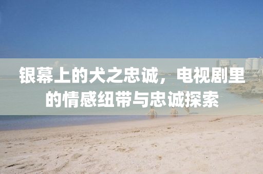 银幕上的犬之忠诚，电视剧里的情感纽带与忠诚探索