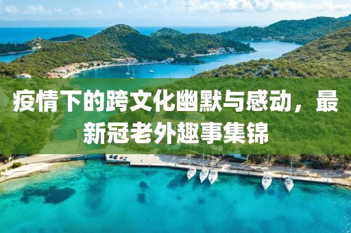 疫情下的跨文化幽默与感动，最新冠老外趣事集锦