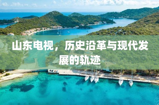 山东电视，历史沿革与现代发展的轨迹