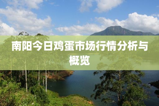 南阳今日鸡蛋市场行情分析与概览