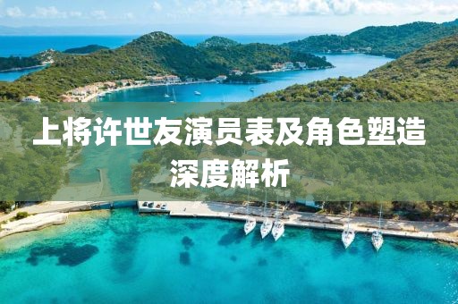 上将许世友演员表及角色塑造深度解析