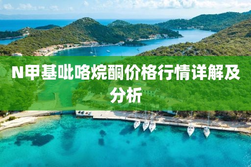 N甲基吡咯烷酮价格行情详解及分析