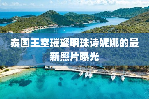 泰国王室璀璨明珠诗妮娜的最新照片曝光