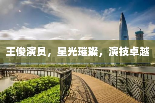 王俊演员，星光璀璨，演技卓越