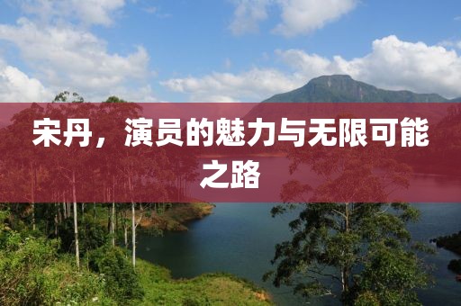 宋丹，演员的魅力与无限可能之路