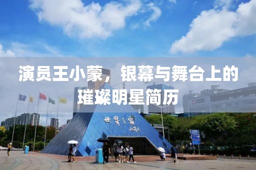 演员王小蒙，银幕与舞台上的璀璨明星简历