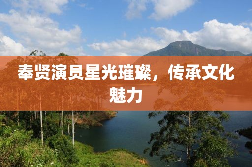 奉贤演员星光璀璨，传承文化魅力