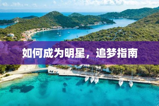 如何成为明星，追梦指南