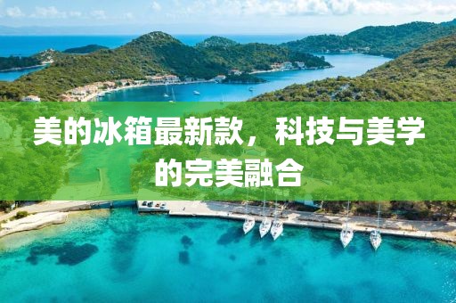 美的冰箱最新款，科技与美学的完美融合