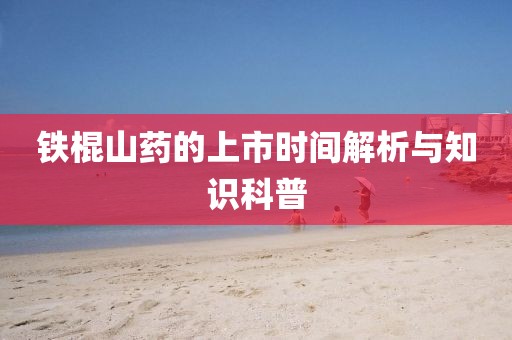 铁棍山药的上市时间解析与知识科普