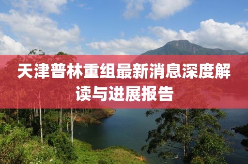 天津普林重组最新消息深度解读与进展报告