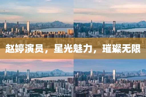 赵婷演员，星光魅力，璀璨无限