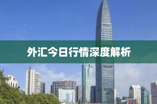 外汇今日行情深度解析