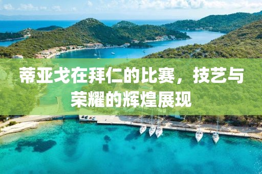 蒂亚戈在拜仁的比赛，技艺与荣耀的辉煌展现