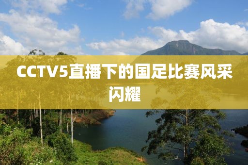 CCTV5直播下的国足比赛风采闪耀