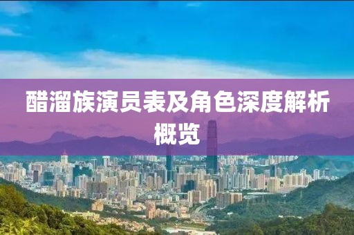 醋溜族演员表及角色深度解析概览