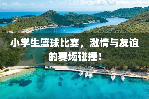 小学生篮球比赛，激情与友谊的赛场碰撞！