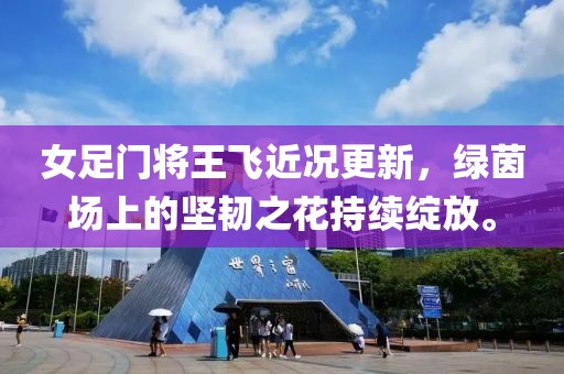女足门将王飞近况更新，绿茵场上的坚韧之花持续绽放。