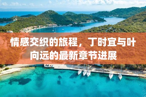 情感交织的旅程，丁时宜与叶向远的最新章节进展