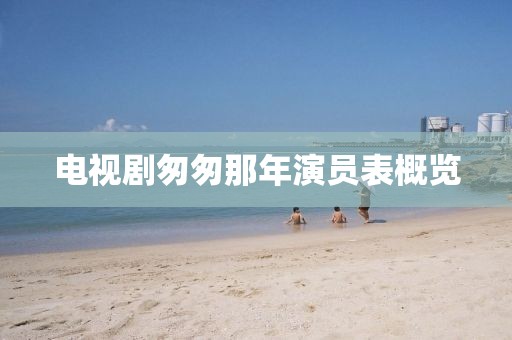电视剧匆匆那年演员表概览