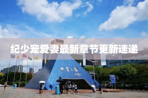 纪少宠爱妻最新章节更新速递