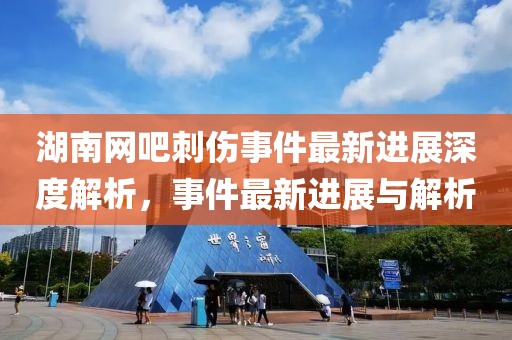 湖南网吧刺伤事件最新进展深度解析，事件最新进展与解析