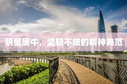 明星属牛，坚韧不拔的精神典范