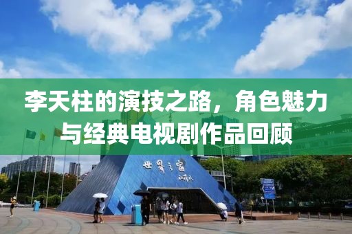 李天柱的演技之路，角色魅力与经典电视剧作品回顾