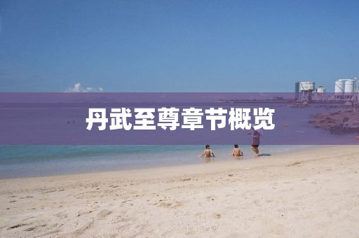 丹武至尊章节概览