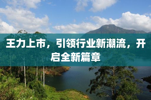 王力上市，引领行业新潮流，开启全新篇章