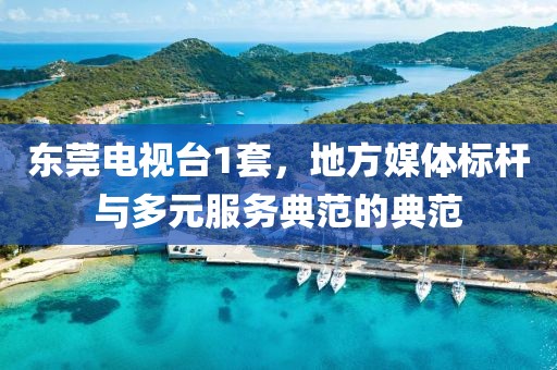 东莞电视台1套，地方媒体标杆与多元服务典范的典范