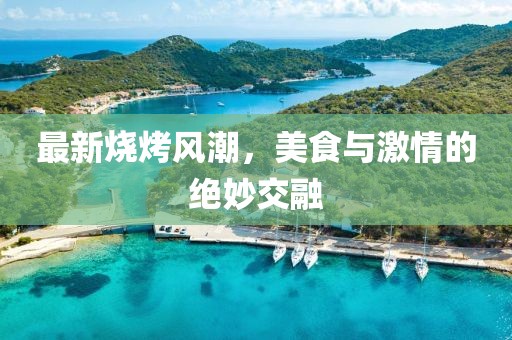 最新烧烤风潮，美食与激情的绝妙交融
