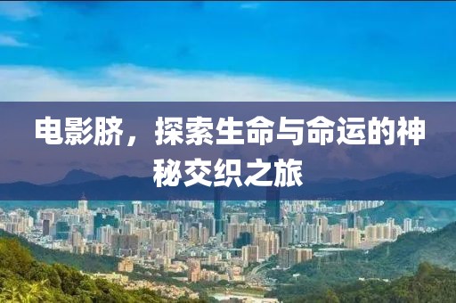 电影脐，探索生命与命运的神秘交织之旅