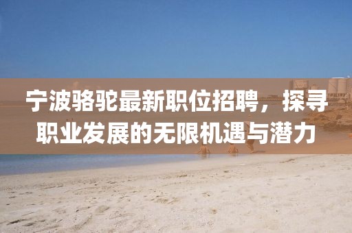 宁波骆驼最新职位招聘，探寻职业发展的无限机遇与潜力