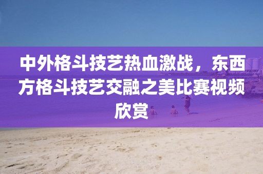 中外格斗技艺热血激战，东西方格斗技艺交融之美比赛视频欣赏