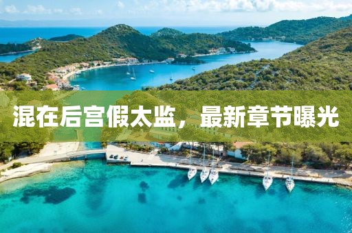 混在后宫假太监，最新章节曝光