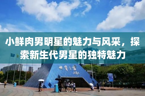 小鲜肉男明星的魅力与风采，探索新生代男星的独特魅力