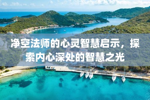 净空法师的心灵智慧启示，探索内心深处的智慧之光