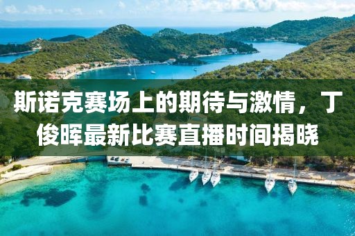 斯诺克赛场上的期待与激情，丁俊晖最新比赛直播时间揭晓