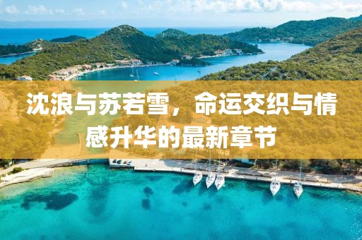 沈浪与苏若雪，命运交织与情感升华的最新章节