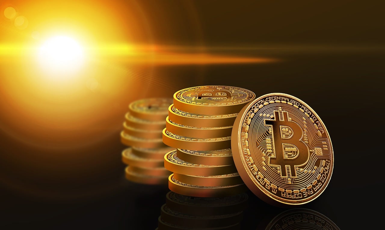 丛台酒价格表，市场影响力与价格一览