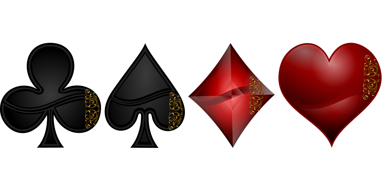 金喜双的最新动态与成就概览